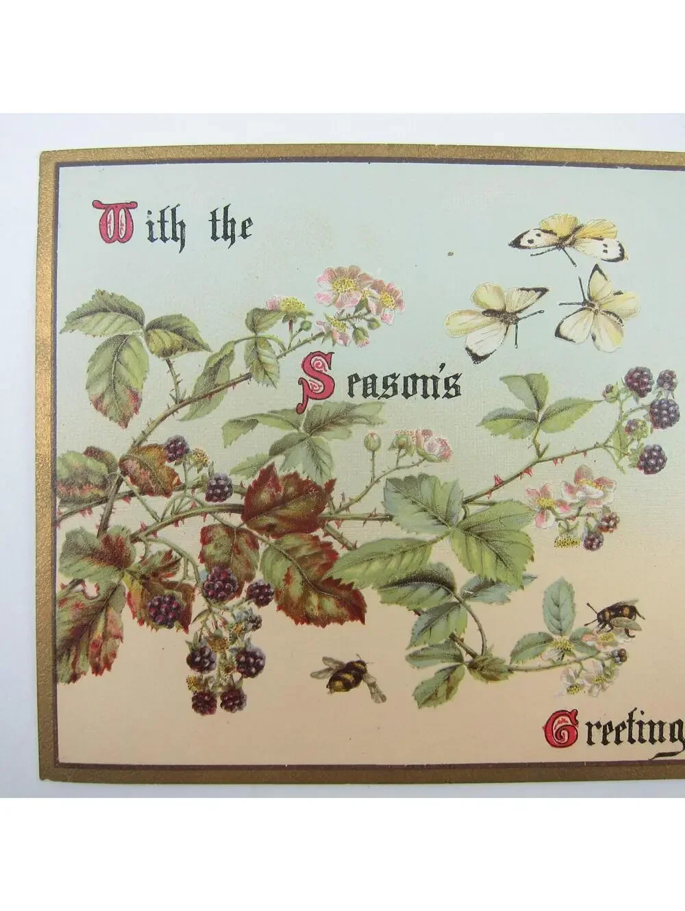 Victorian Greeting Card Raphael Tuck Flowers Blackberries Butterfly Bee Antique
